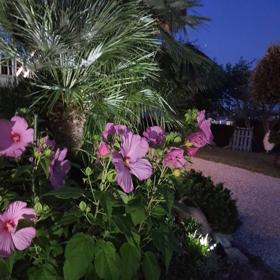 Bnb Fano Collina. La Pace Di Una Vacanza Piagge Exterior foto
