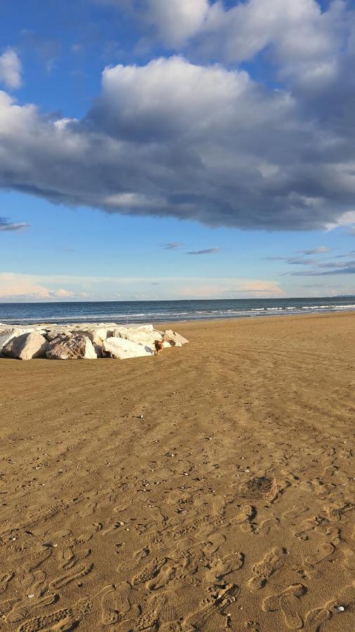 Bnb Fano Collina. La Pace Di Una Vacanza Piagge Exterior foto