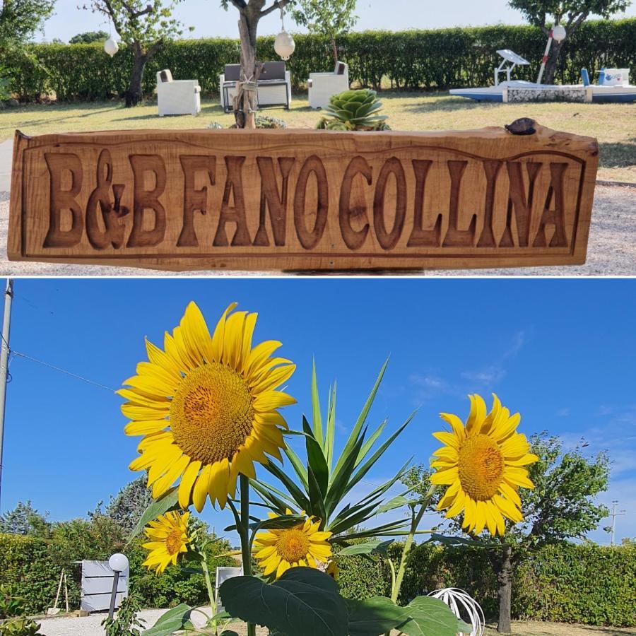 Bnb Fano Collina. La Pace Di Una Vacanza Piagge Exterior foto