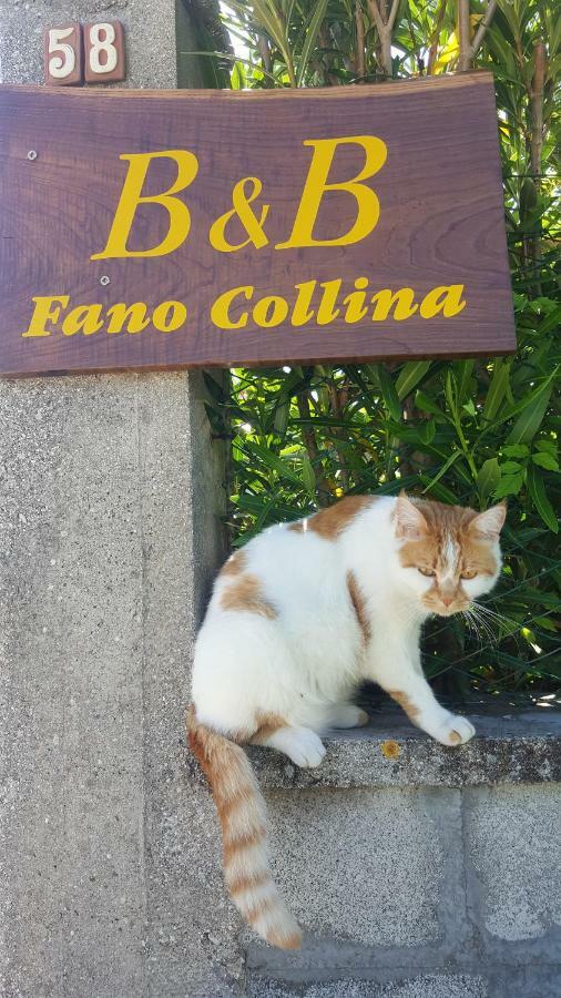 Bnb Fano Collina. La Pace Di Una Vacanza Piagge Exterior foto