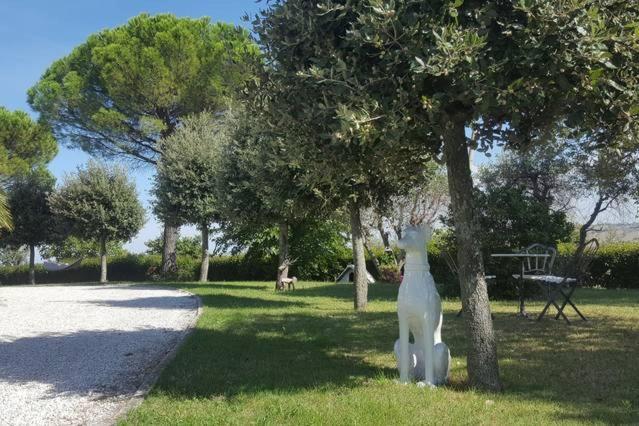 Bnb Fano Collina. La Pace Di Una Vacanza Piagge Exterior foto