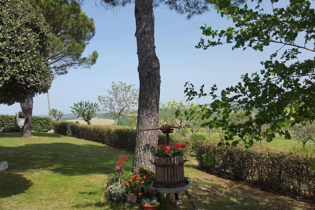 Bnb Fano Collina. La Pace Di Una Vacanza Piagge Exterior foto