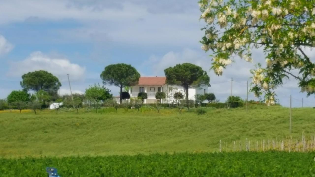 Bnb Fano Collina. La Pace Di Una Vacanza Piagge Exterior foto