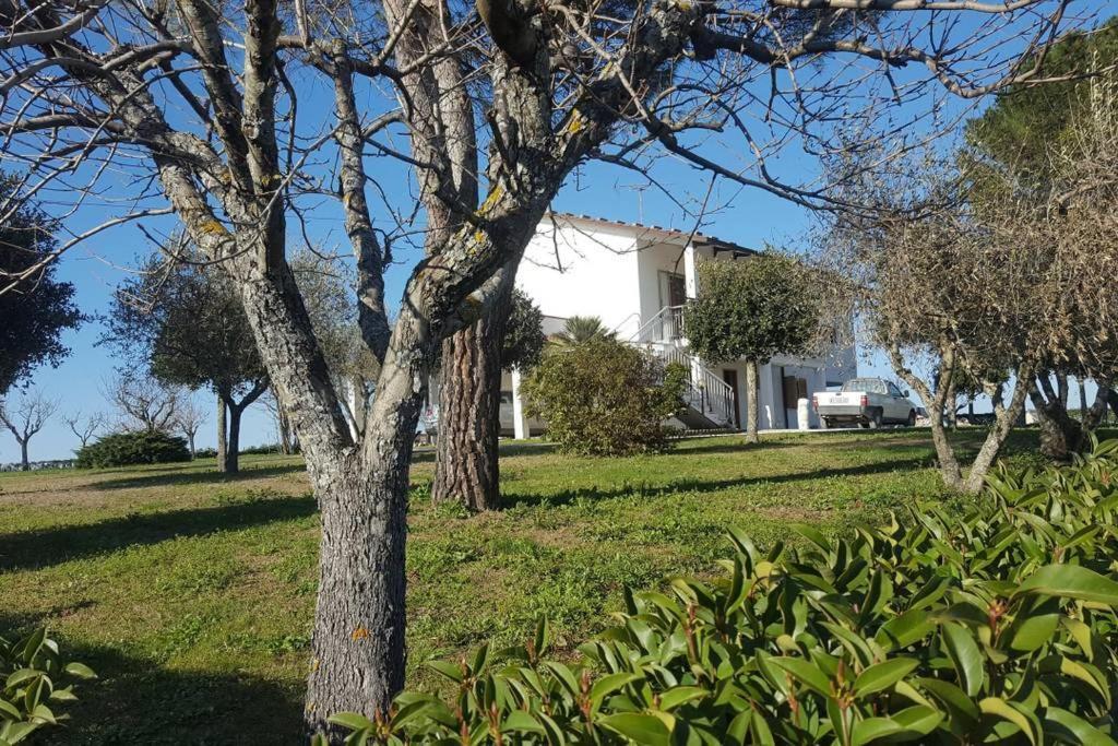 Bnb Fano Collina. La Pace Di Una Vacanza Piagge Exterior foto